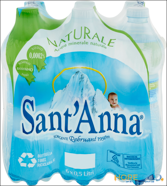 SANT'ANNA ACQUA NATURALE PET 500 ML