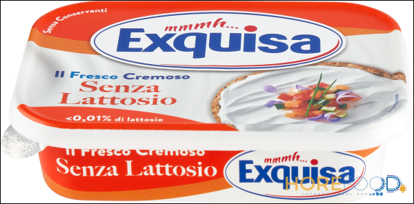 EXQUISA FORMAGGIO SENZA LATTOSIO 175 GR