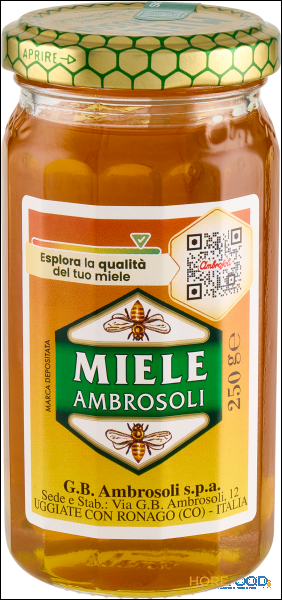 AMBROSOLI MIELE RAFFINATO 250 GR
