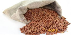 SCHIOPPI LENTICCHIE MEDIE (5KG) AL KG