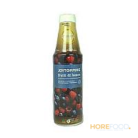 JOYTOPPING TOPPING FRUTTI DI BOSCO 1 KG