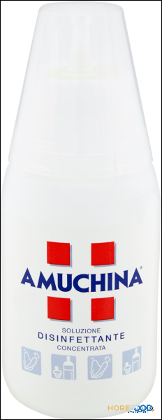 AMUCHINA IGIENIZZANTE MANI 250 ML