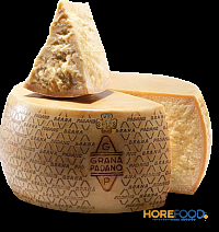 GRANA PADANO DOP 12 MESI AL KG