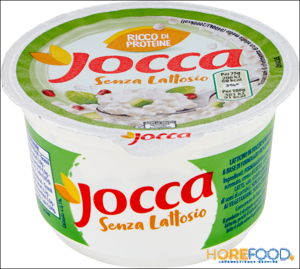 JOCCA FIOCCHI DI LATTE SENZA LATTOSIO