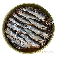 ACCIUGHE SALATE CANTABRICO (5KG) AL KG