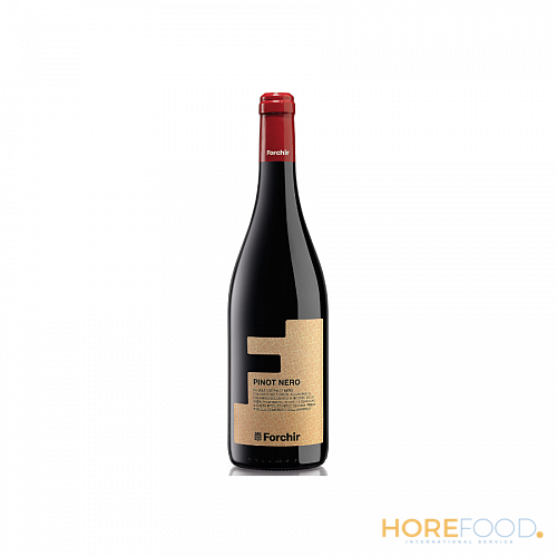 FORCHIR PINOT NERO DOC 750 ML