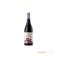 VILLA RAIANO AGLIANICO IGT 750 ML