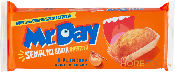 MR.DAY PLUMCAKE X6 190 GR