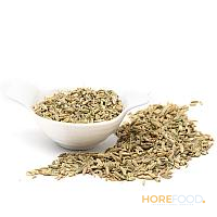 GI.AN. SEMI FINOCCHIO 100 GR