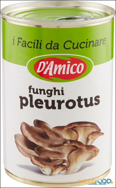 D'AMICO FUNGHI PLEURO 400 GR