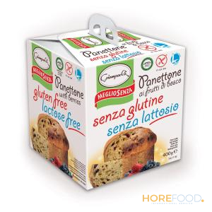 Panettone senza Glutine e senza Lattosio con Uvetta, 400 g - GIAMPAOLI